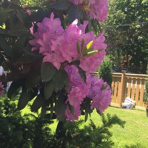 Meet your Posher, Claire